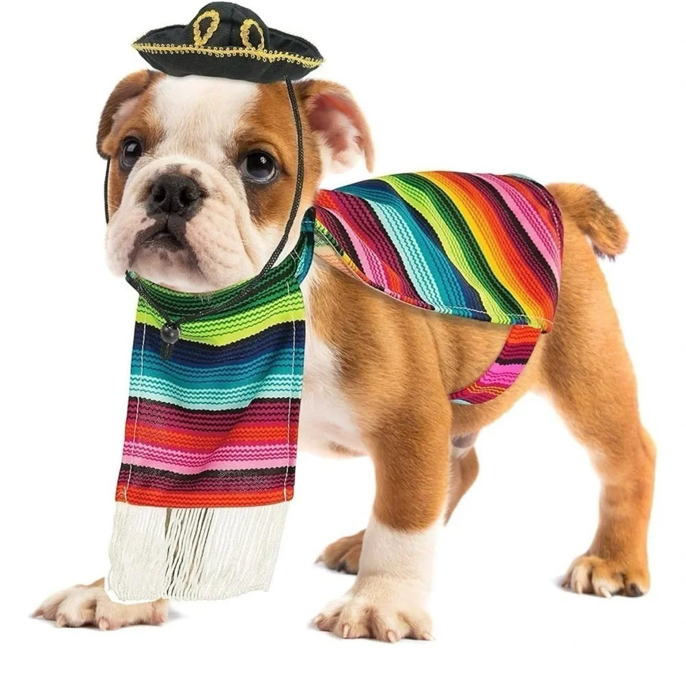 Multicolor Pet Costume